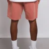 Atelier Shorts Rust